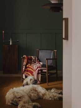 Ash Wood Lounge Chair Hayo wit